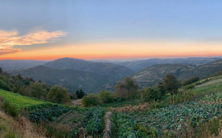 Grace and How to be More Empathetic